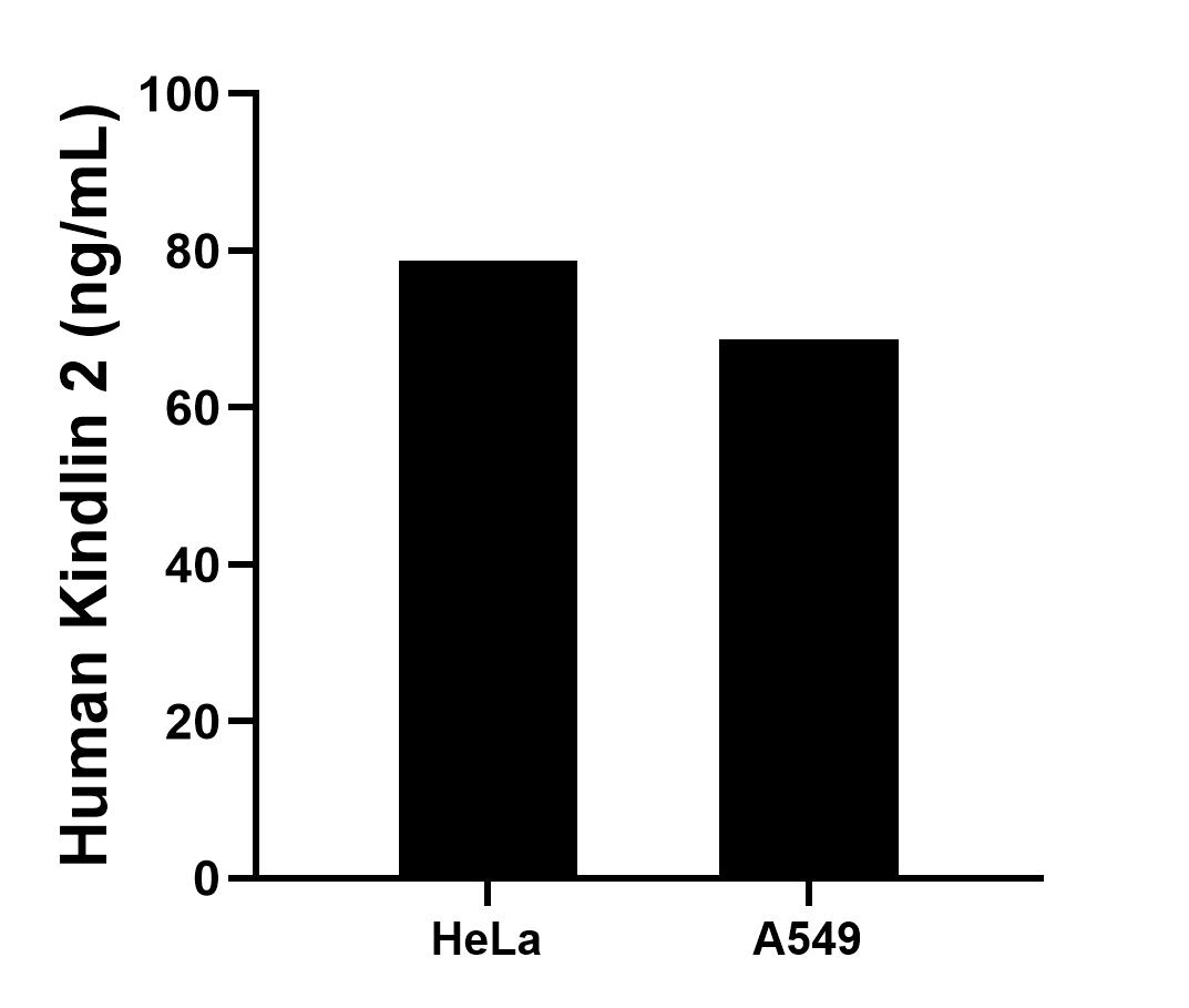 Sample test of MP01239-1